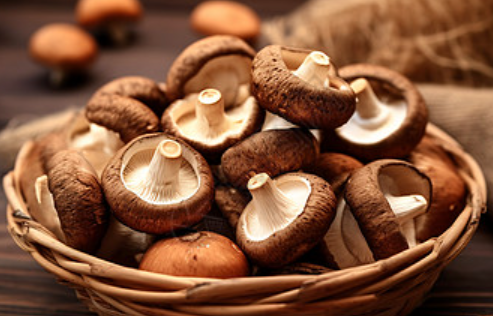 shiitake mushroom